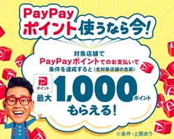 【09月01日から！PayPay】 PayPayポイント使っておトク キャンペーン【09月30日まで！】