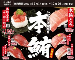 【12月14日より！かっぱ寿司】本鮪とろが330円など、本鮪祭り開催！【期間限定】