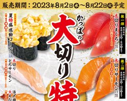 【08月02日から！かっぱ寿司】かっぱの大切り特盛り祭り【08月22日まで！】